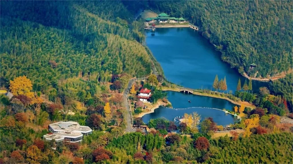 Forêt de bambous de Yixing - Prix des billets, heures d'ouverture, emplacement et points forts