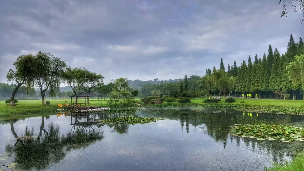 Parc forestier national de Yixing - Prix des billets, heures d'ouverture, transport et points forts