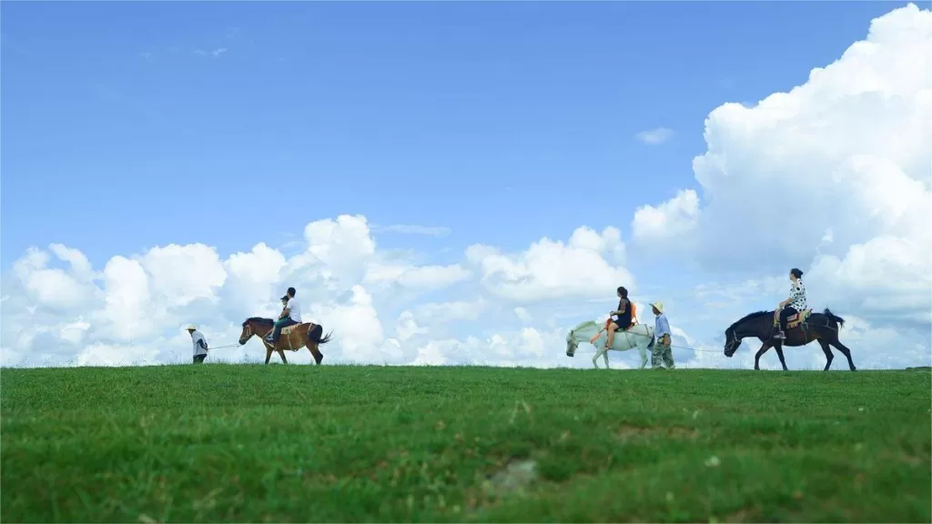 Yunding Grass Field - Kaartjes, openingstijden, locatie en hoogtepunten