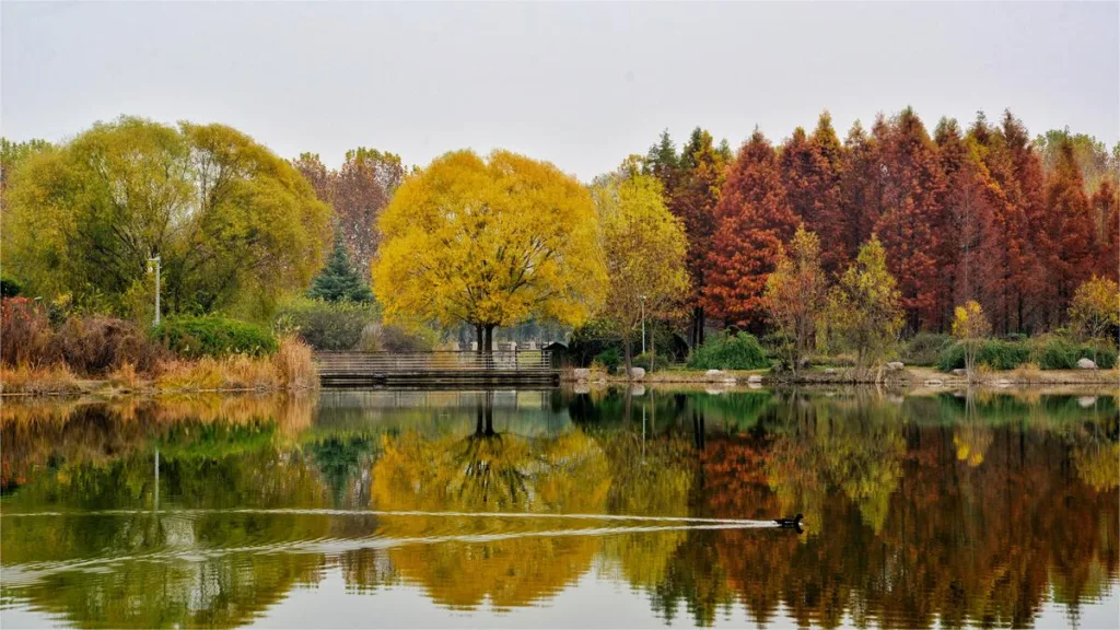 Zhengzhou Botanical Garden – Ticket, Opening hours, Location, and Highlights