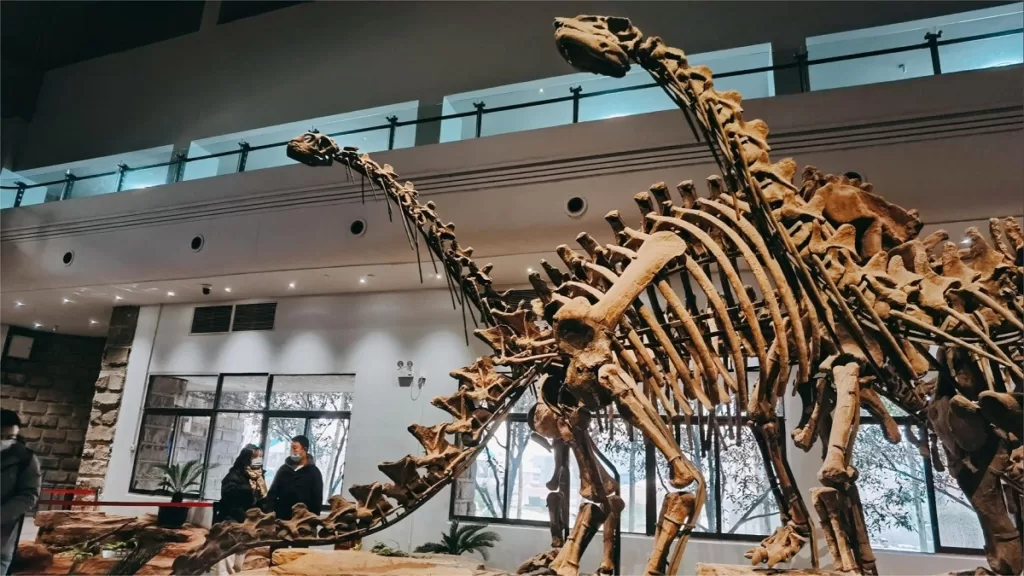 Museu do Dinossauro de Zigong - Preço do bilhete, horário de funcionamento, localização e destaques