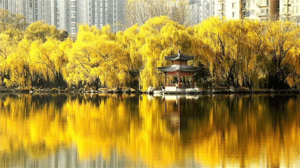 Parque Zizhuyuan (Parque do Bambu Púrpura) - Bilhete, horário de abertura, destaques e dicas