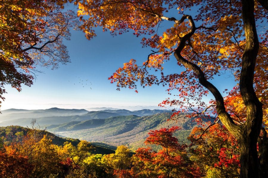 Sichuan Western Tour : Chengdu – Bipenggou – Miyaluo Three Days Tour