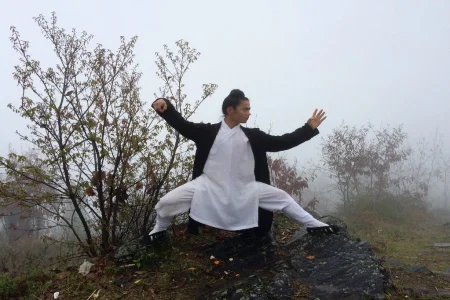 A Health Journey: Restoring Male Vitality and Fat Burning through Chinese Medicine and Taoism