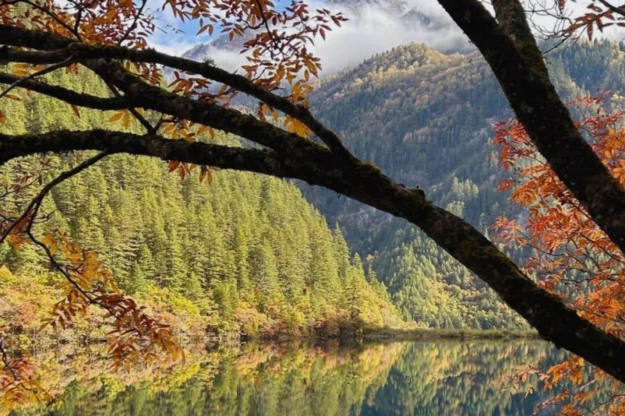 6 Days Private Tour of Chengdu – Leshan – Mt. Emei – Chengdu – Huanglong – Jiuzhaigou