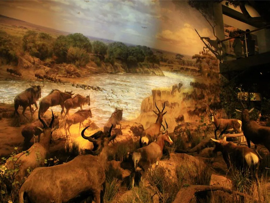 African-Wildlife-Migration-Exhibition-in-shandong-museum-jpg African-Wildlife-Migration-Exhibition-in-shandong-museum-jpg