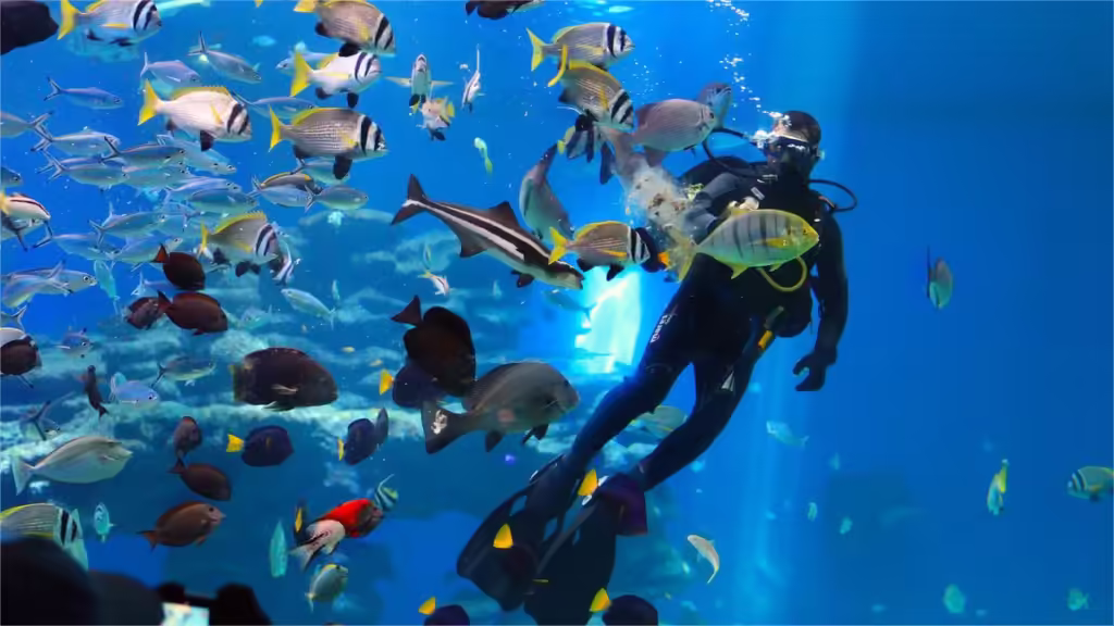 Beihai-Underwater-World-1024x576.avif_-3