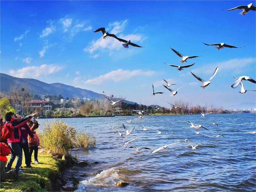 Biodiversity-of-qionghai-lake-jpg Biodiversity-of-qionghai-lake-jpg