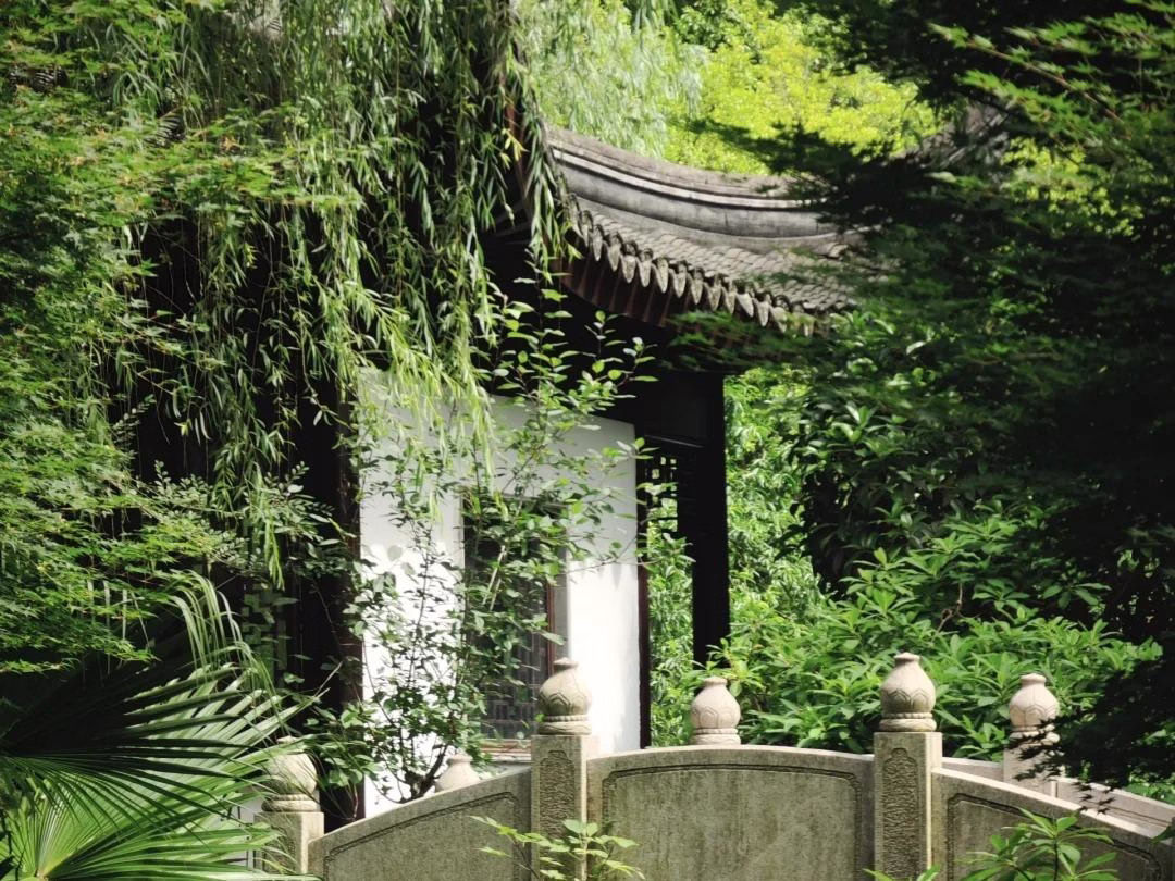 Chongqing-Garden-Expo-Park-4.avif_ Chongqing-Garden-Expo-Park-4.avif_