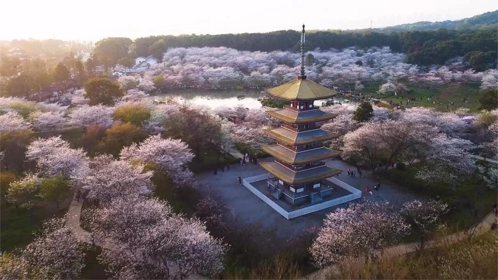 East-Lake-Cherry-Blossom-Park-1024x576-1