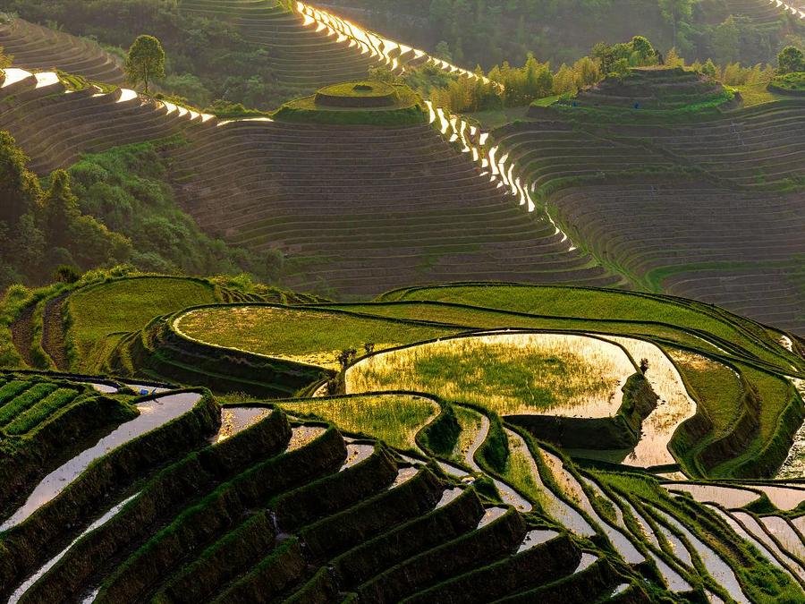 Jinkeng-Red-Yao-Rice-Terraces-in-longji-rice-terraces Jinkeng-Red-Yao-Rice-Terraces-in-longji-rice-terraces
