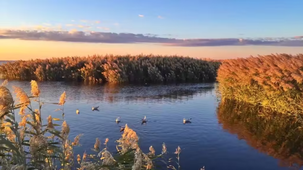 Juyan-Lake-Juyanhai-A-Crescent-Moon-1024x576.avif_-7