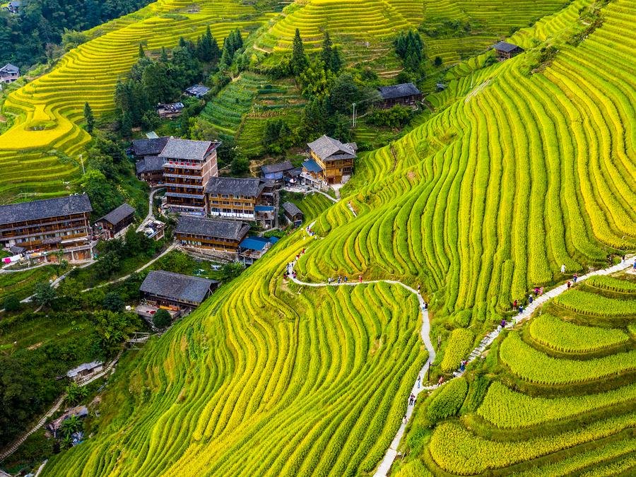 Longji-Ancient-Zhuang-Village-Terraces Longji-Ancient-Zhuang-Village-Terraces