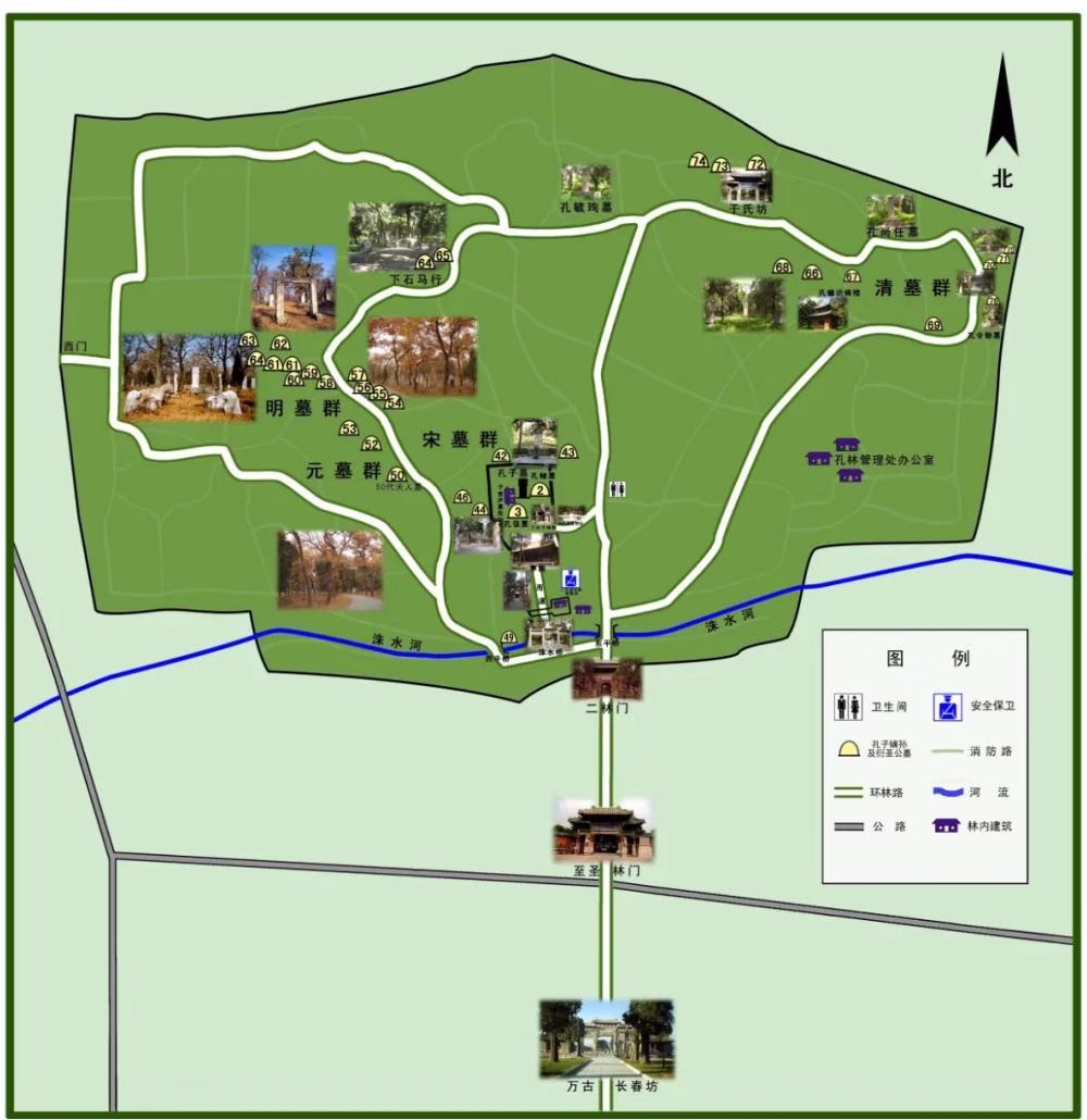 Map-of-Confucius-Forest.avif_ Map-of-Confucius-Forest.avif_