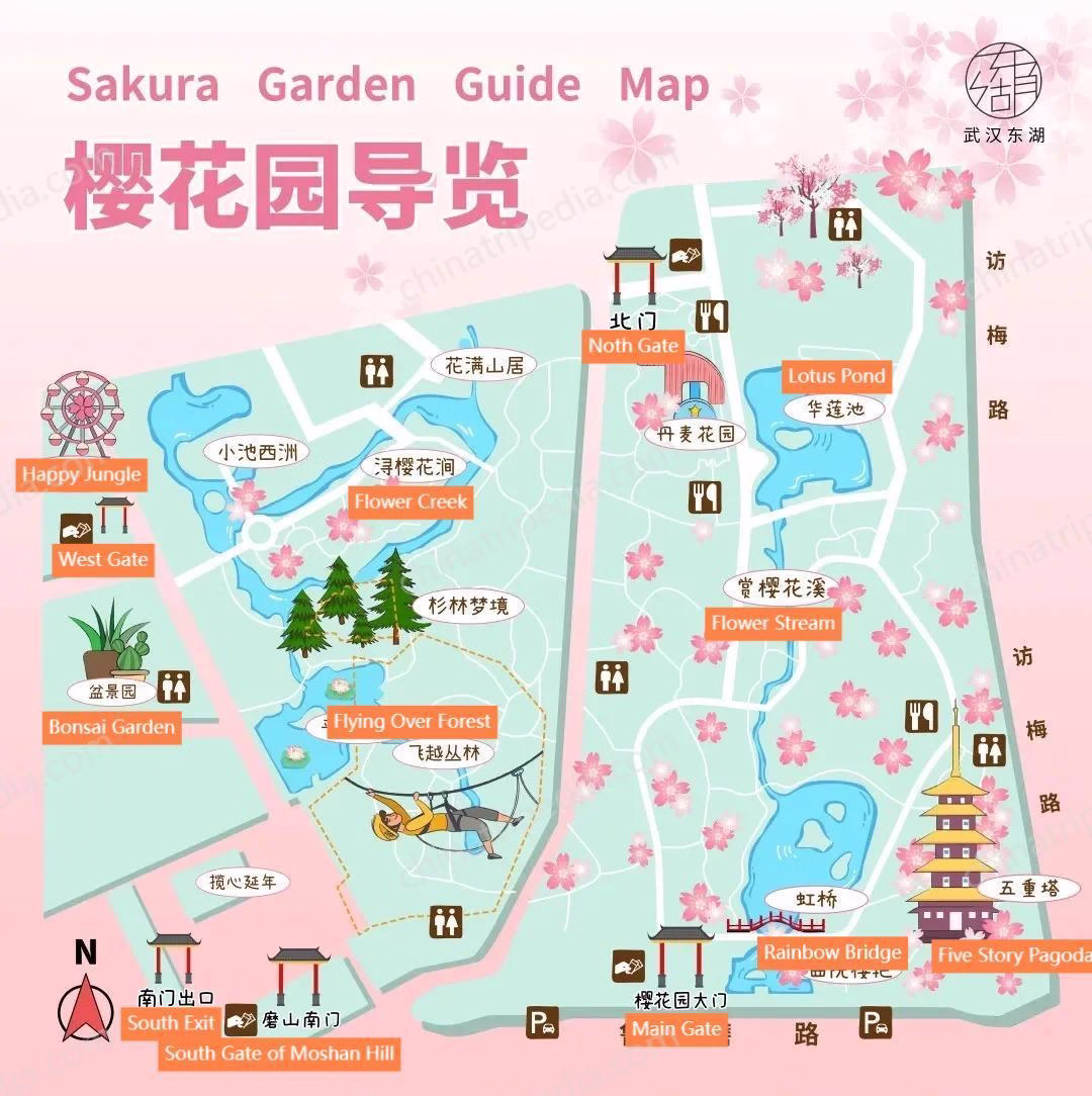 Map-of-East-Lake-Cherry-Blossom-Park.avif_ Map-of-East-Lake-Cherry-Blossom-Park.avif_