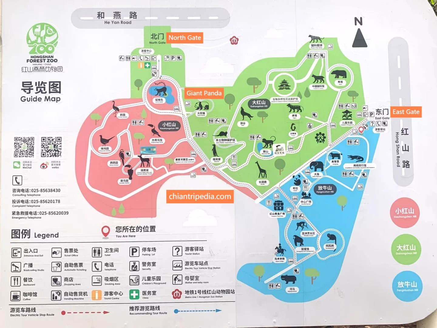 Map-of-Hongshan-Forest-Zoo.avif_ Map-of-Hongshan-Forest-Zoo.avif_