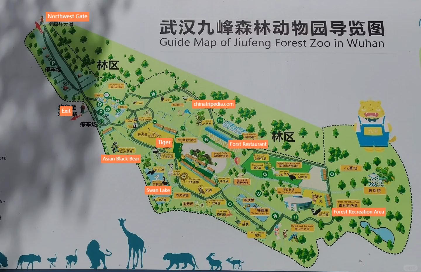 Map-of-Jiufeng-Forest-Zoo.avif_ Map-of-Jiufeng-Forest-Zoo.avif_