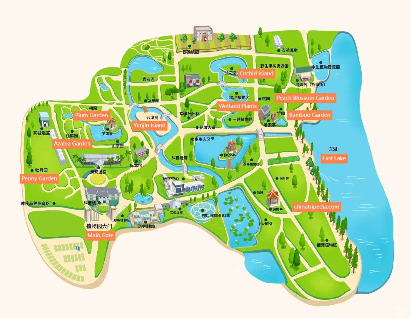 Map-of-Wuhan-Botanical-Garden.avif_ Map-of-Wuhan-Botanical-Garden.avif_