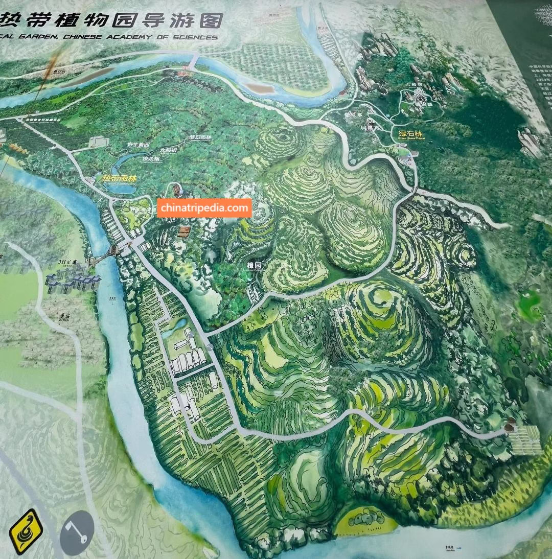 Map-of-Xishuangbanna-Tropical-Botanical-Garden-East-Area.avif_ Map-of-Xishuangbanna-Tropical-Botanical-Garden-East-Area.avif_