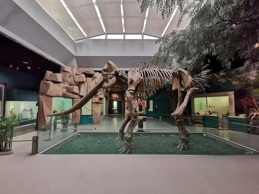 Other-Exhibitions-in-gansu-museum-jpg Other-Exhibitions-in-gansu-museum-jpg