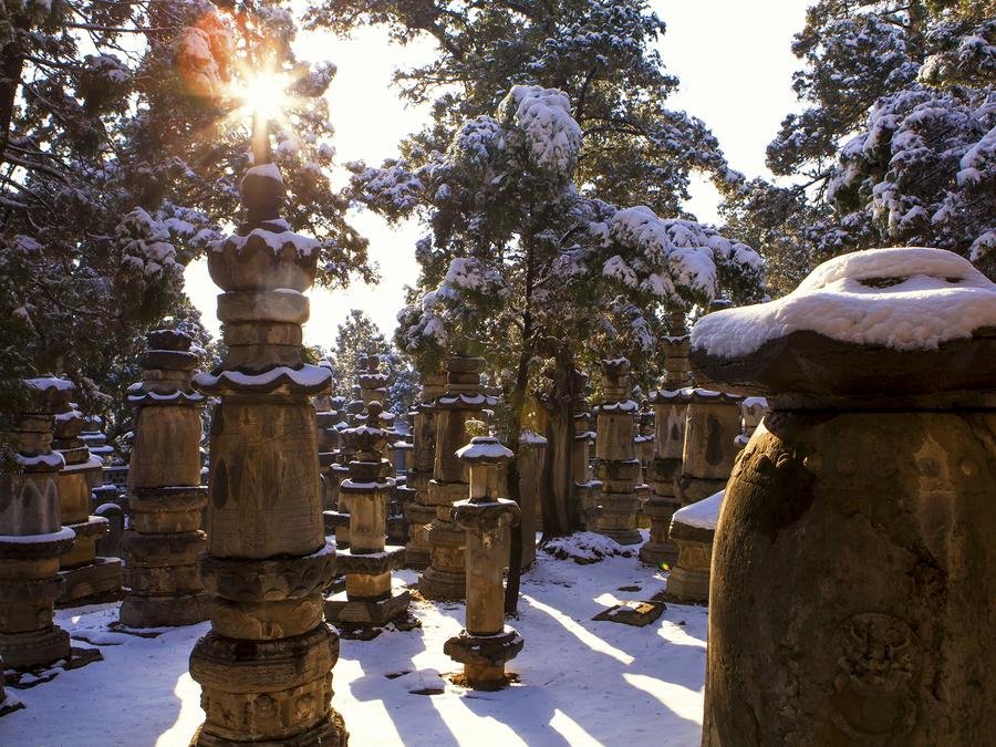 Pagoda-Forest-in-lingyan-temple-jinan Pagoda-Forest-in-lingyan-temple-jinan
