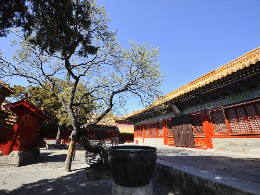 Palace-of-Cherished-Tranquility-in-the-forbidden-city Palace-of-Cherished-Tranquility-in-the-forbidden-city