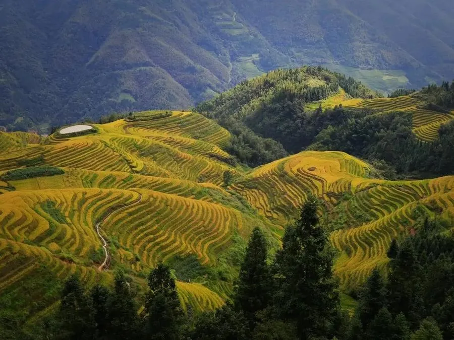 Pingan-Zhuang-Rice-Terraces-in-longji-rice-terraces-jpg Pingan-Zhuang-Rice-Terraces-in-longji-rice-terraces-jpg