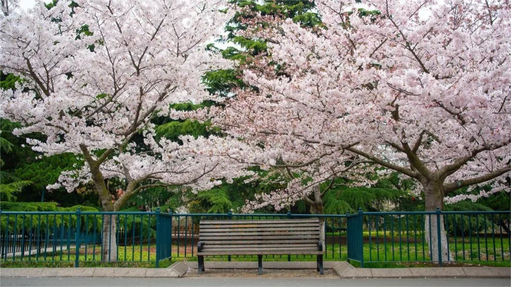 Qingdao-Zhongshan-Park-1024x576-4 Qingdao-Zhongshan-Park-1024x576-4