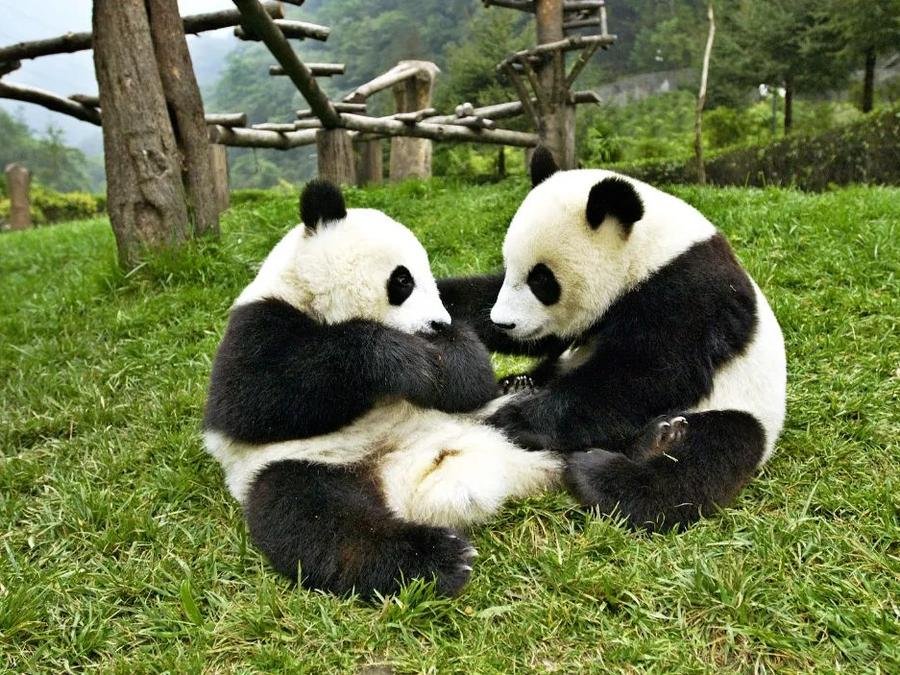 Rare-Animal-Zoo-of-Liugong-Island Rare-Animal-Zoo-of-Liugong-Island
