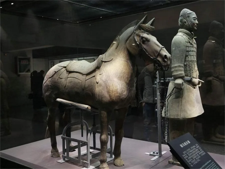 Saddled-Horses-in-terracotta-warriors-jpg Saddled-Horses-in-terracotta-warriors-jpg