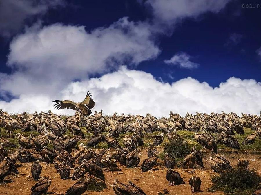 Sky-Burial-Platform-in-langmu-temple Sky-Burial-Platform-in-langmu-temple