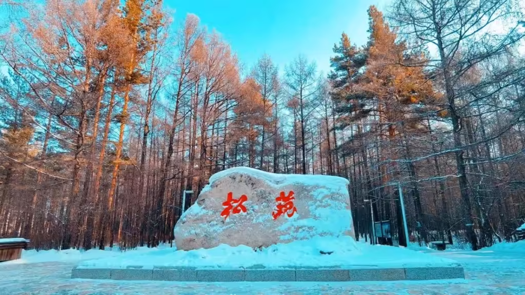 Songyuan-Forest-Park-1024x576.avif_-1