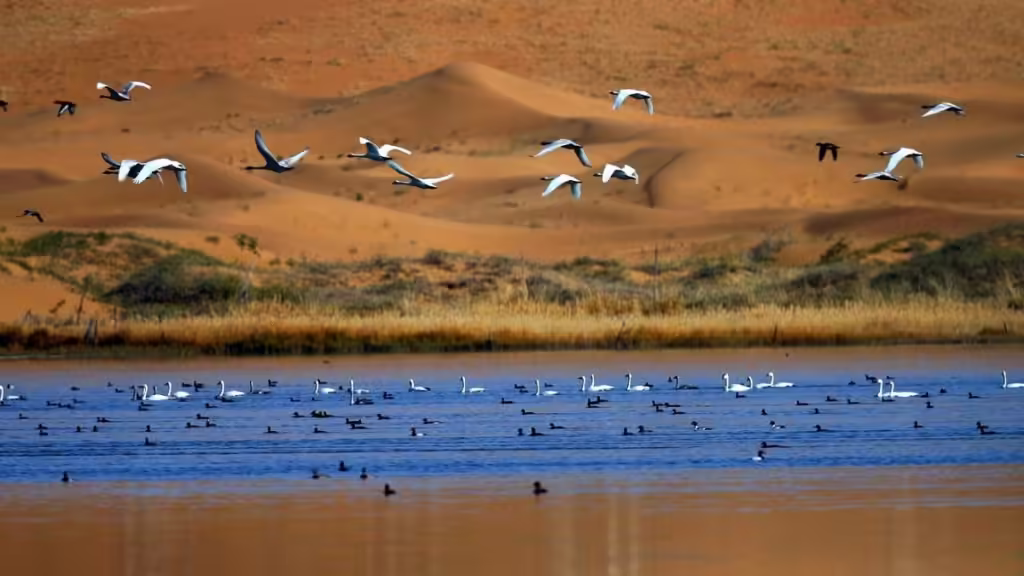 Tengger-Desert-Scenic-Area-1024x576.avif_