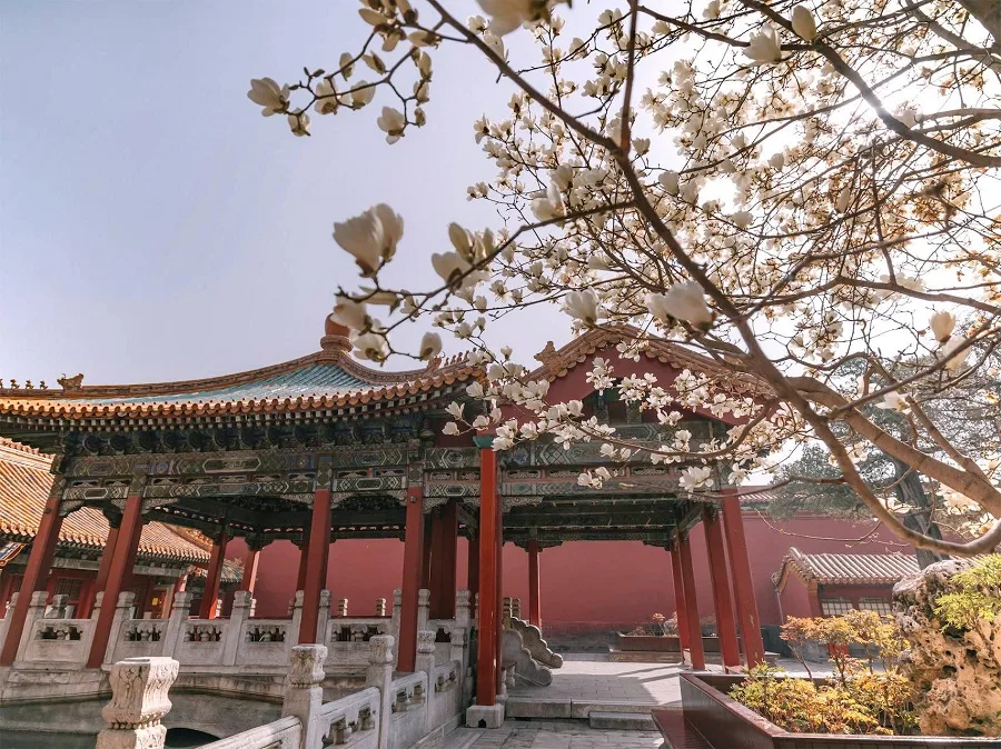 The-Imperial-Garden-in-the-forbidden-city-jpeg The-Imperial-Garden-in-the-forbidden-city-jpeg