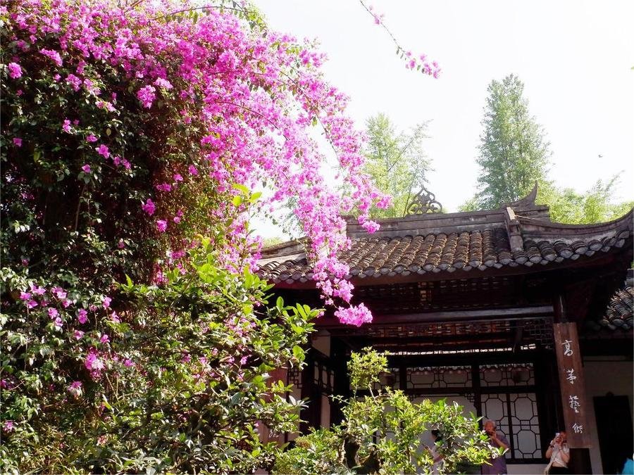 The-Washing-Flower-Shrine-in-du-fu-thatched-cottage The-Washing-Flower-Shrine-in-du-fu-thatched-cottage