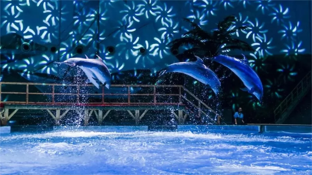 Wuhan-Haichang-Polar-Ocean-Park-1024x576-3 Wuhan-Haichang-Polar-Ocean-Park-1024x576-3