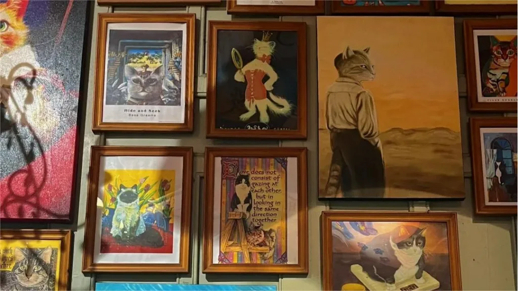 Xiamen-Cat-Museum-1024x576-5