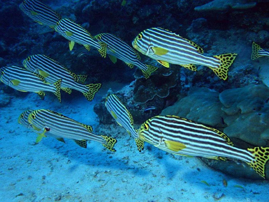 Xiamen-Underwater-World-in-Gulangyu-island-jpg Xiamen-Underwater-World-in-Gulangyu-island-jpg