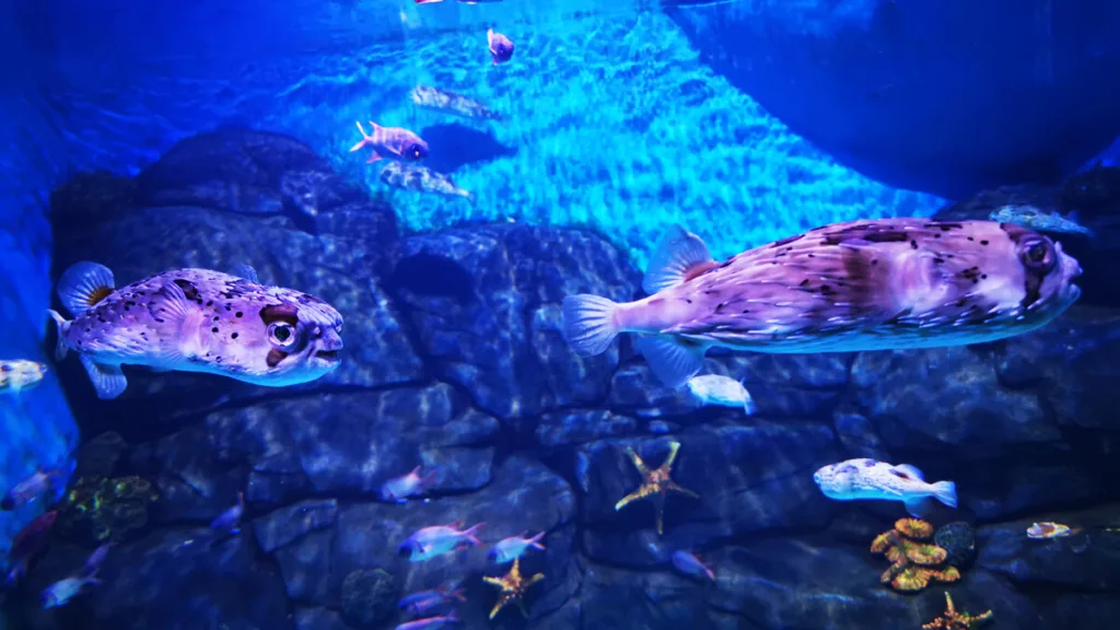 Xiamen-underwater-world-1024x576-2