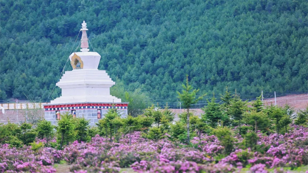 Xiaozhongdian-Flower-Sea-1024x576-2 Xiaozhongdian-Flower-Sea-1024x576-2