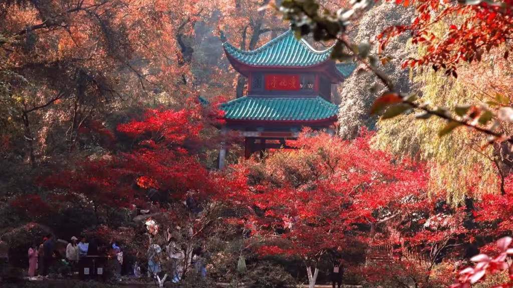 aiwan-pavilion-1024x576.avif_