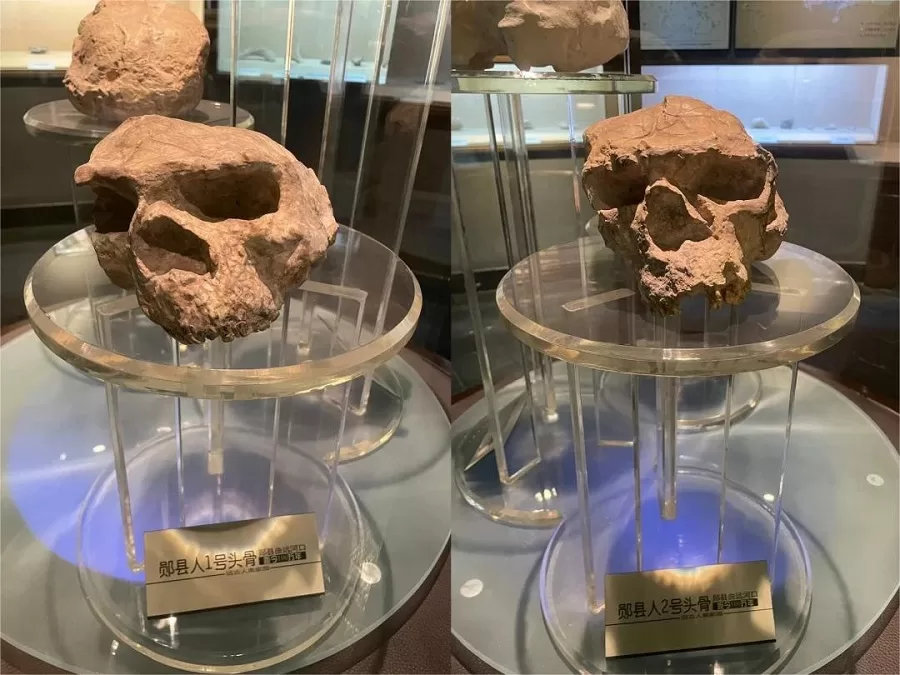 ancient-human-habitats-in-shiyan-museum-jpg ancient-human-habitats-in-shiyan-museum-jpg