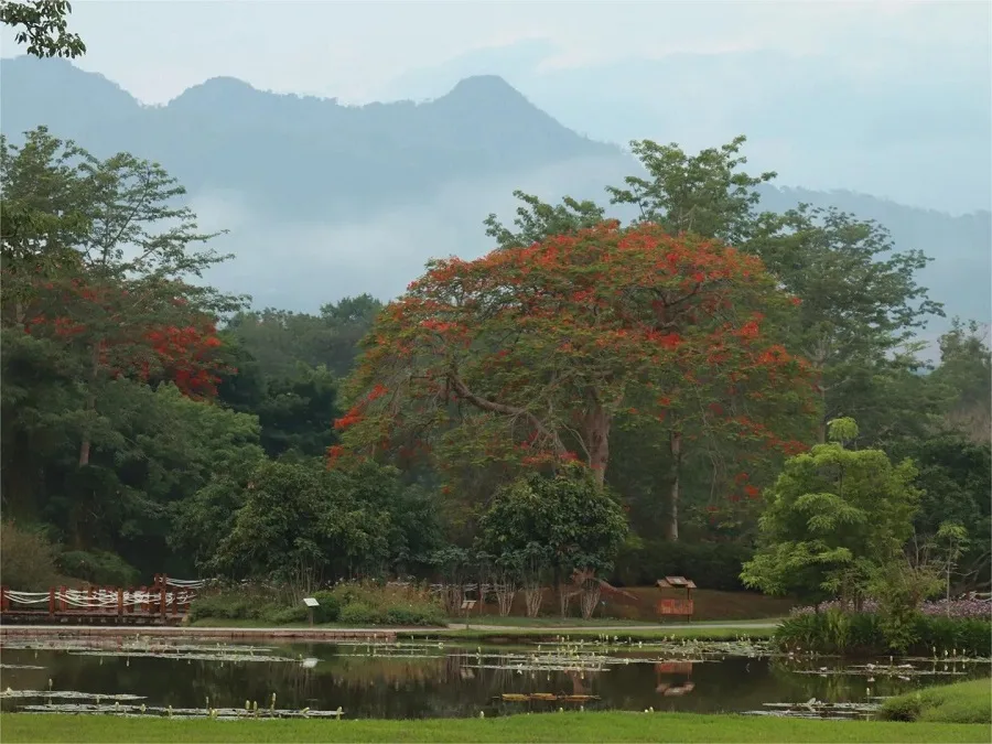 arboretum-in-Xishuangbannan-Tropical-Botanical-Garden-jpg arboretum-in-Xishuangbannan-Tropical-Botanical-Garden-jpg