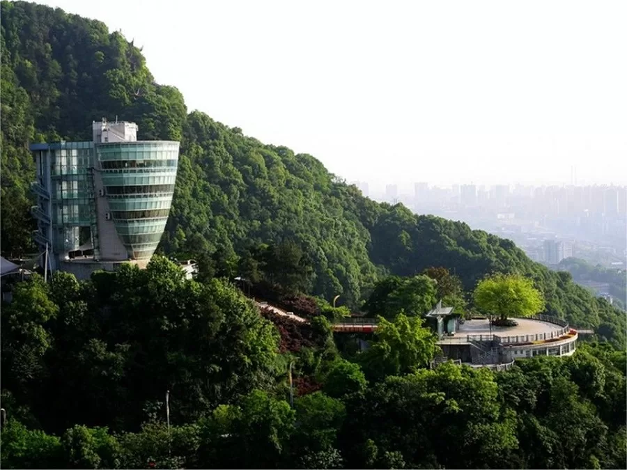 architecture-wonder-of-nanshan-tree-viewing-platform-jpg architecture-wonder-of-nanshan-tree-viewing-platform-jpg