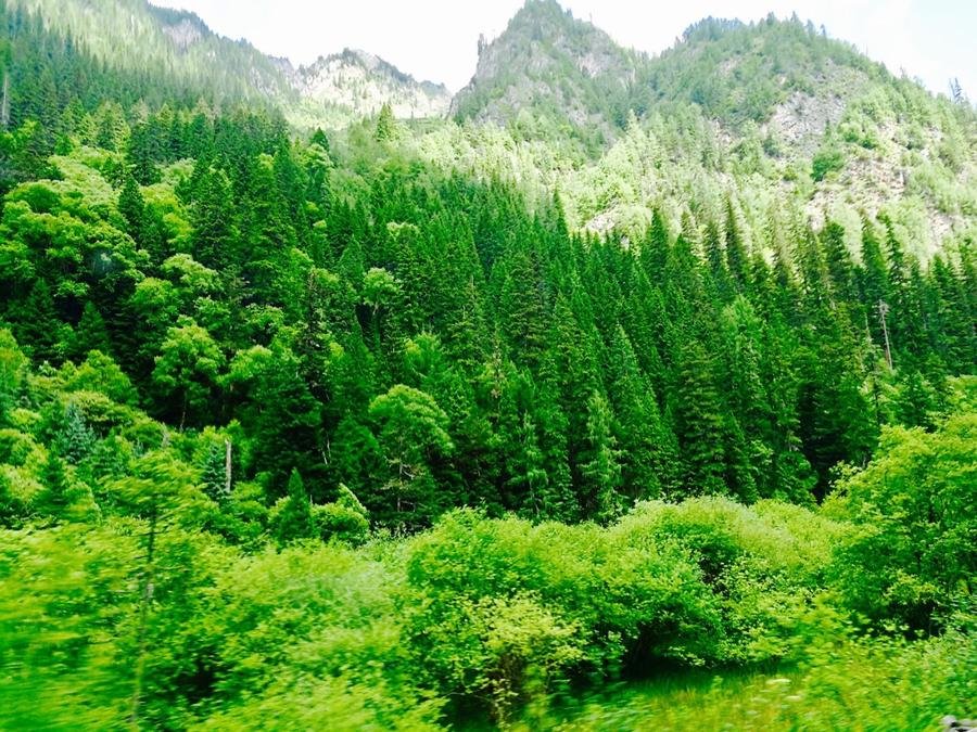 arrow-bamboo-lake-in-jiuzhai-valley arrow-bamboo-lake-in-jiuzhai-valley
