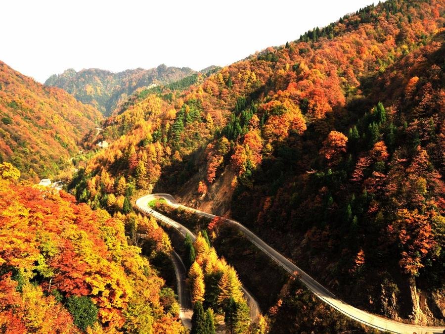 axi-alpine-park-in-yading-nature-reserve axi-alpine-park-in-yading-nature-reserve