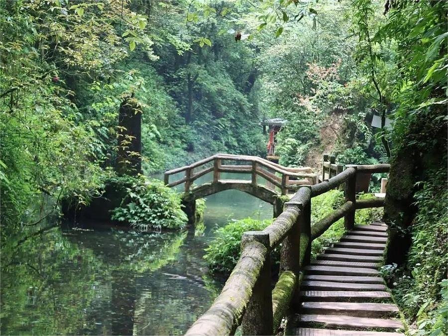 back-mountain-hiking-in-mount-qingcheng back-mountain-hiking-in-mount-qingcheng