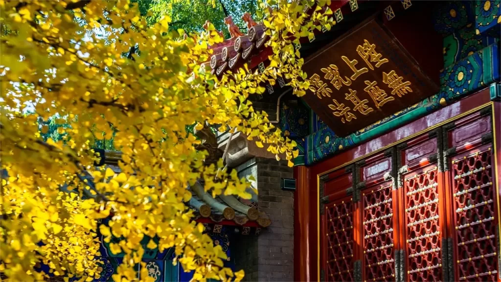 badachu-park-beijing-1024x576-4 badachu-park-beijing-1024x576-4