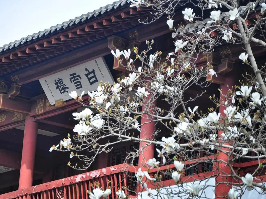 baixue-tower-in-baotu-spring-jpg baixue-tower-in-baotu-spring-jpg