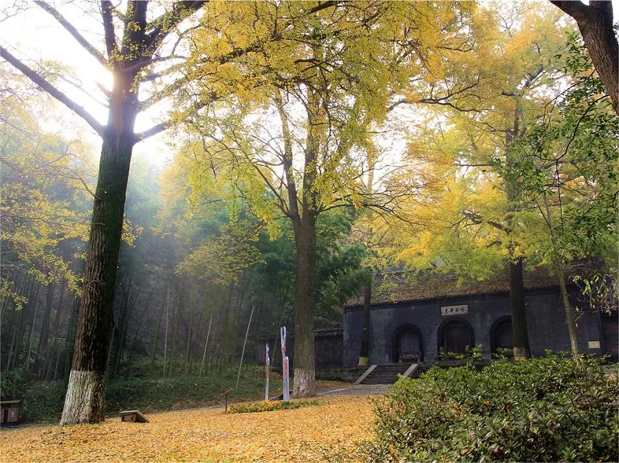 bamboo-forest-temple-in-nanshan-national-forest-park-zhenjiang-jpg bamboo-forest-temple-in-nanshan-national-forest-park-zhenjiang-jpg